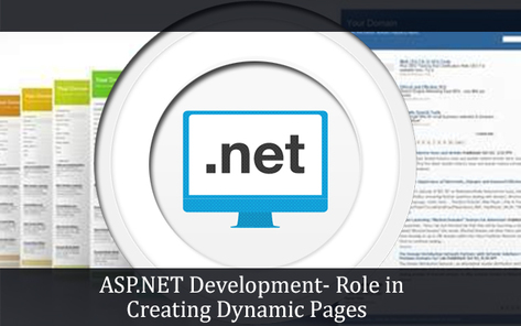 .net application development